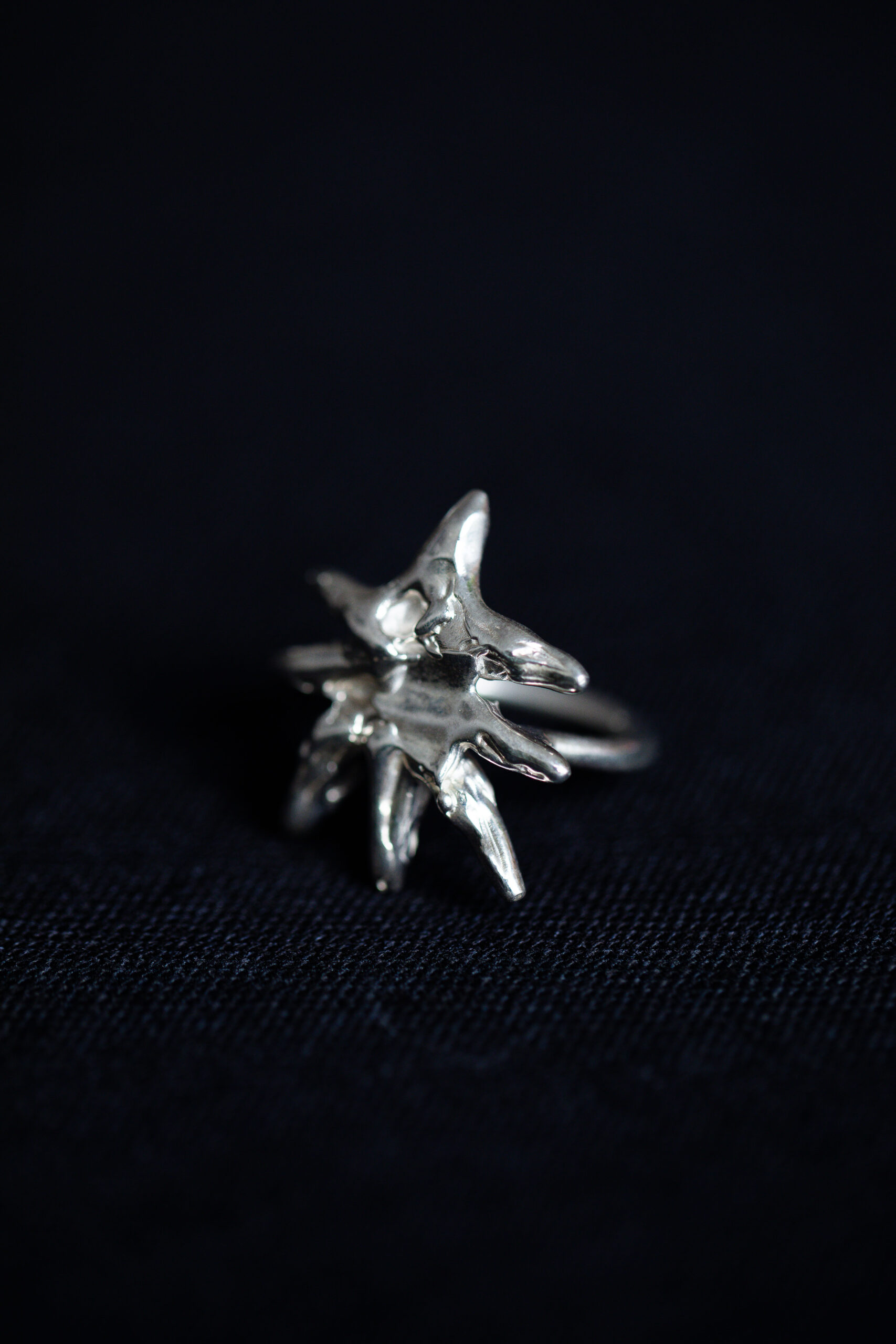 Anel Elian - Imagem 4