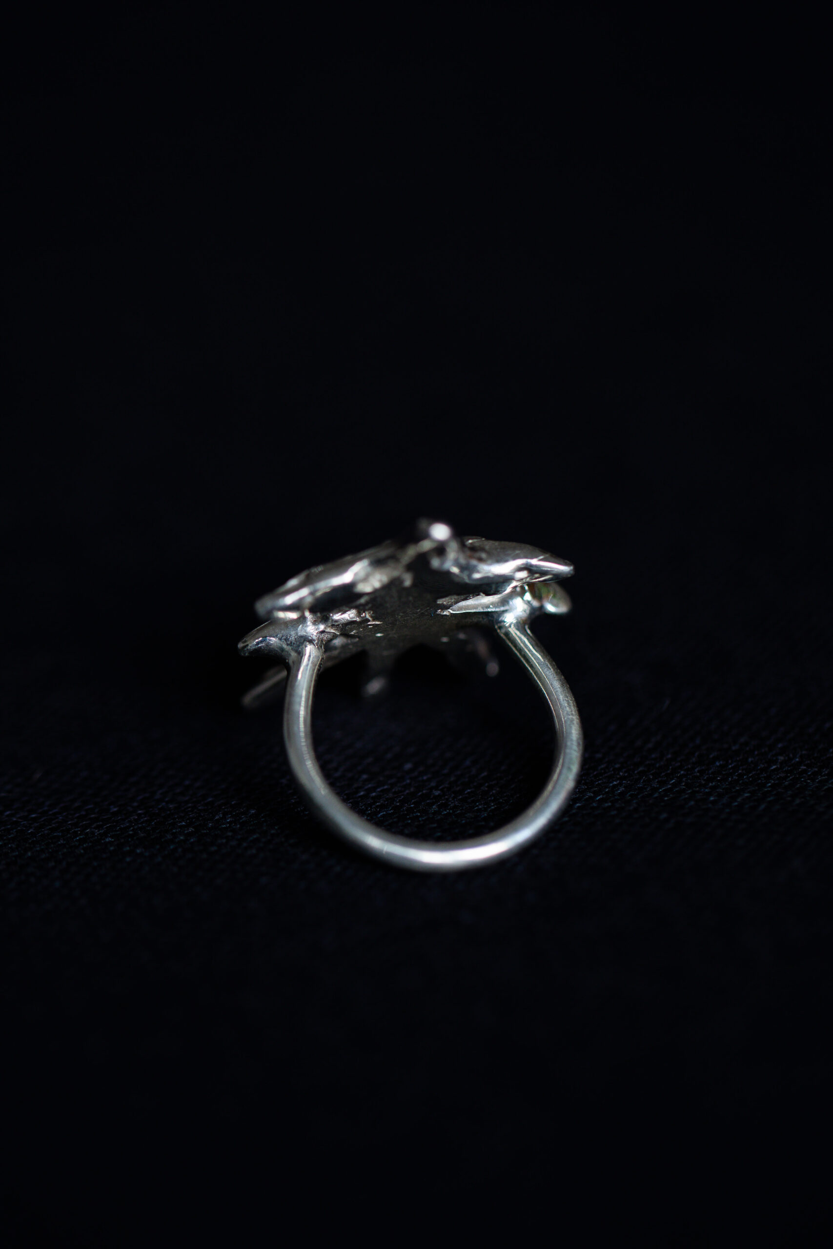 Anel Elian - Imagem 8