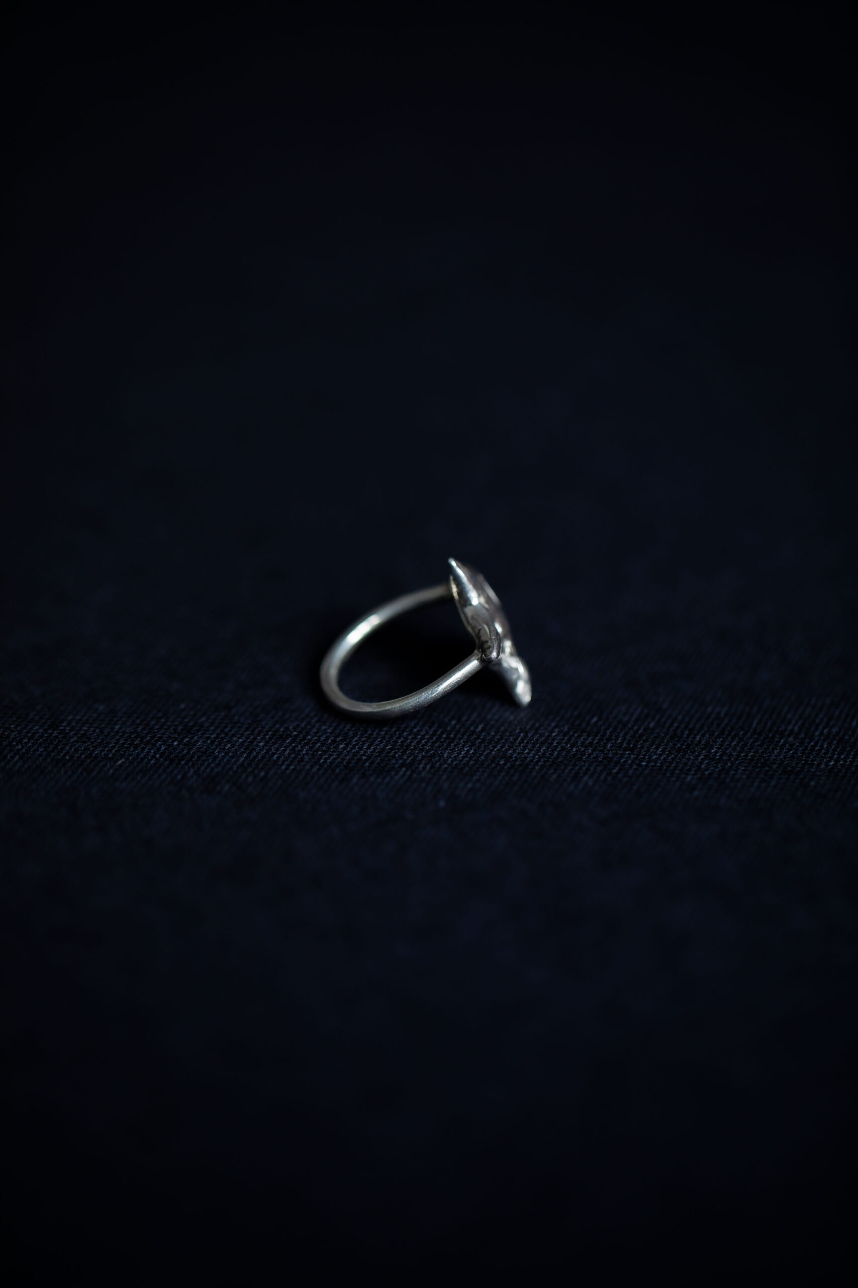 Anel Zaha - Imagem 5